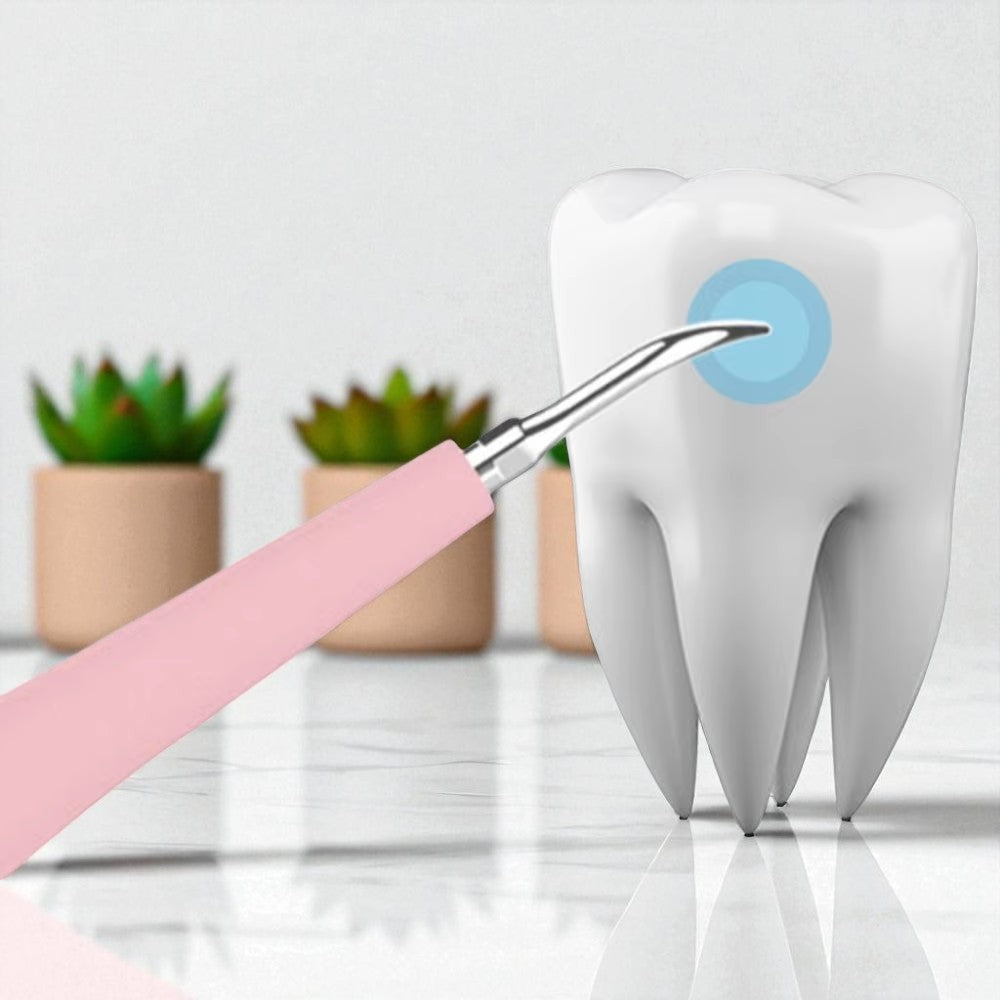 DentraX